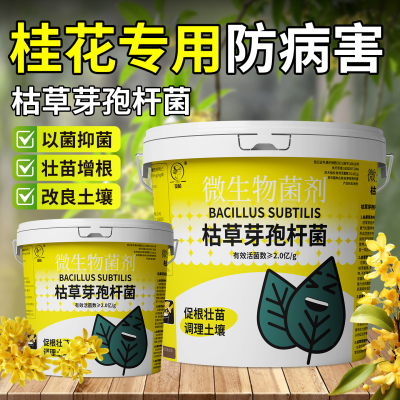 以菌抑菌壮苗增根土壤改良