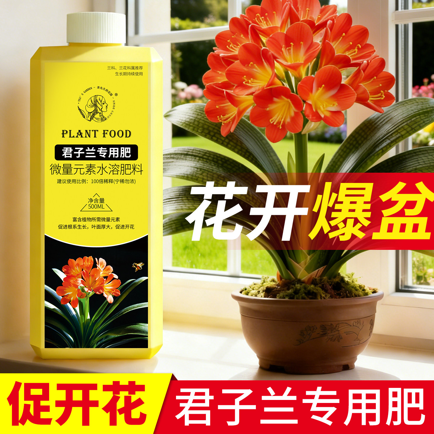 君子兰专用肥植物营养液肥料花卉绿植用爆花肥催花素通用型水溶肥,鲜花速递/花卉仿真/绿植园艺,家庭园艺肥料,淘宝优惠券,粉丝福利购,淘宝优惠卷