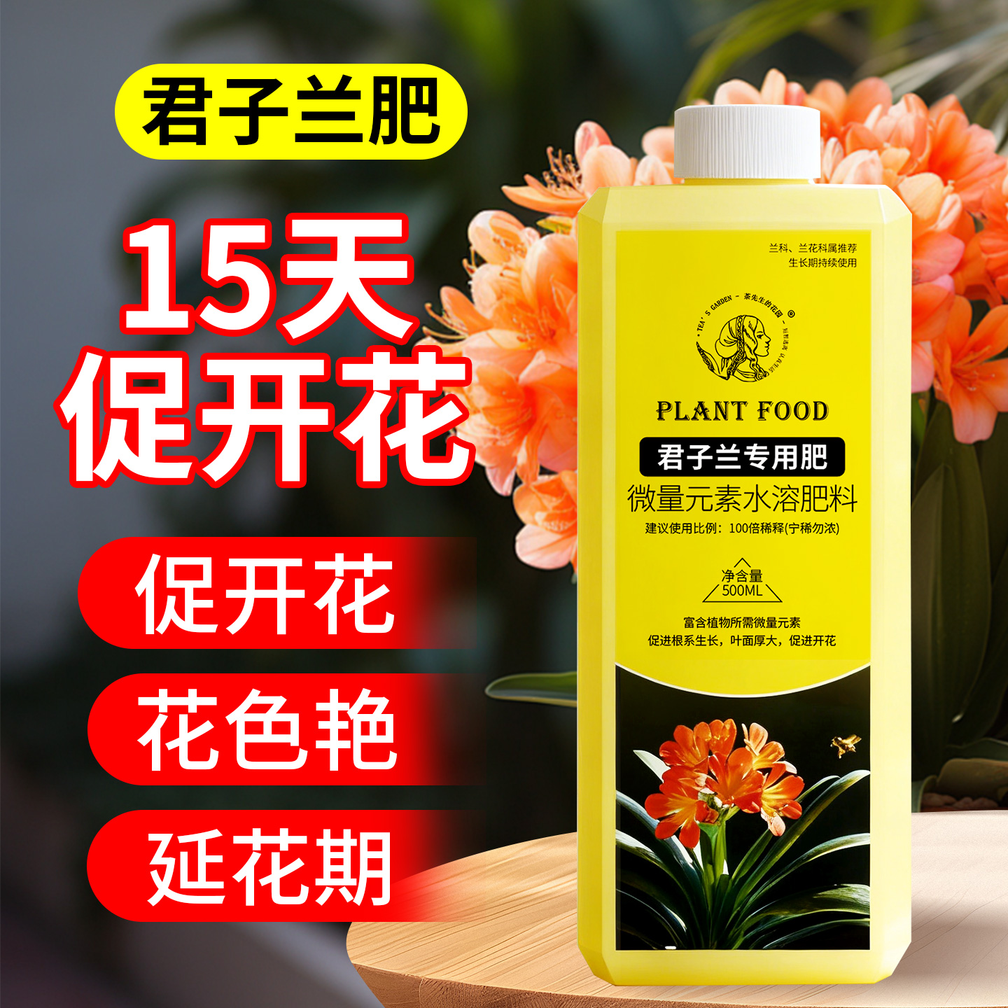 【促开花延长花期】君子兰营养液