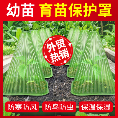 育苗保护罩大号植物幼苗育苗罩蔬菜秧苗罩保温罩防护罩冻保护钟罩