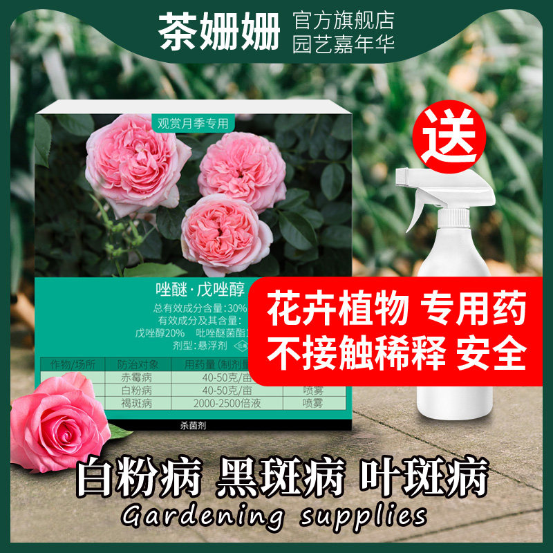 白粉病专用药植物多肉草莓长寿花发财树叶斑病茶花兰花月季黑斑病