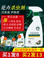 Насеченное цветочное растение Растение Растение Непредлет