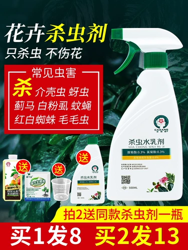 Насеченное цветочное растение Растение Растение Непредлет