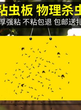 粘虫板黄板双面粘板黄色大棚专用家用室内蓟马蓝板黄板果蝇诱捕器