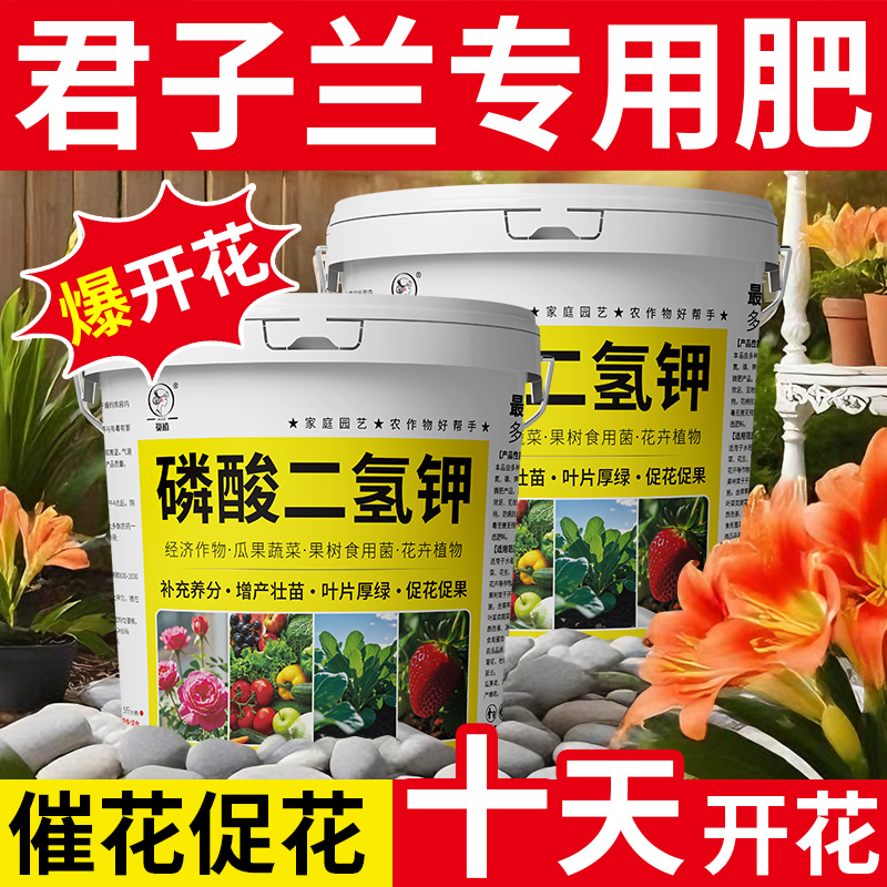 君子兰专用肥国宝级促箭促花
