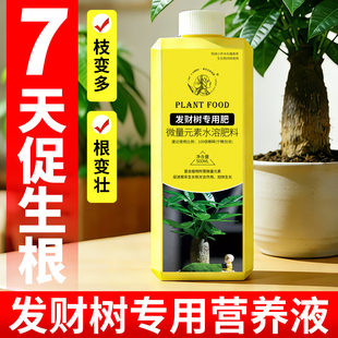 发财树专用营养液肥料叶子黄了怎么办治疗黄叶掉叶黄斑烂根液体肥