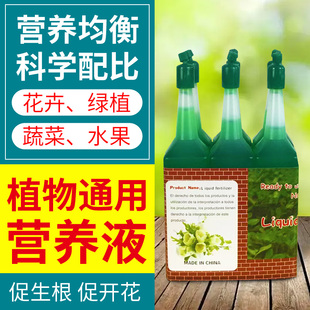 花卉营养液植物通用型水培绿叶绿植小绿瓶绿萝发财树盆栽肥料小瓶