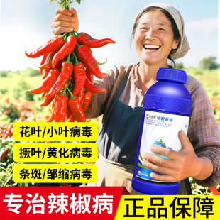 辣椒病毒病专用药辛菌胺醋酸盐杀菌剂农药卷叶病黄叶缩叶病病毒清