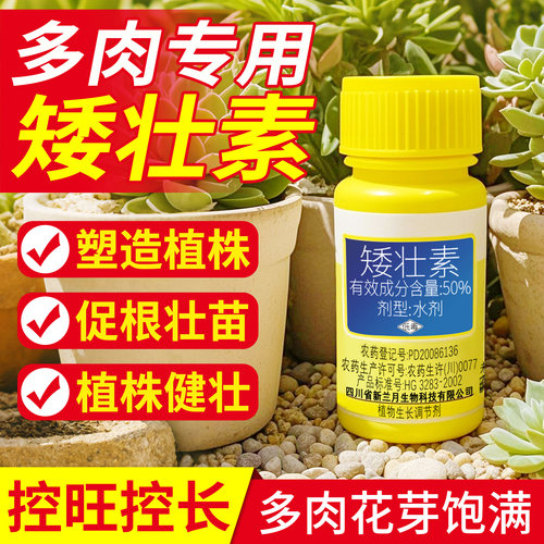 矮状素多肉专用矮壮素花卉菊花植物生长调节剂控旺控制陡长壮苗