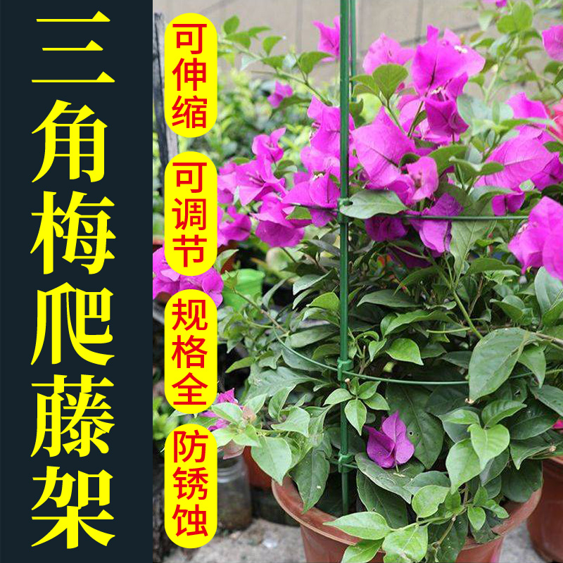 三角梅爬藤架阳台花架造型支架