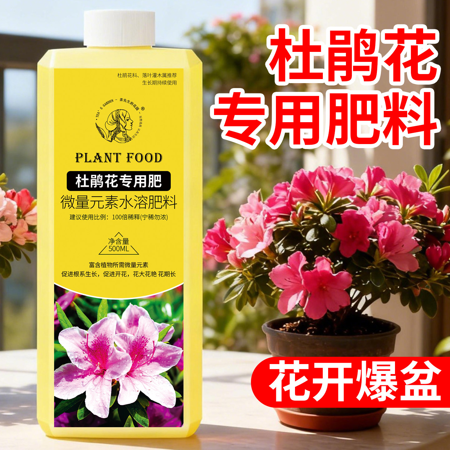 杜鹃花专用肥营养液促开花映山红室内盆栽植物养花肥料绿植调酸剂,鲜花速递/花卉仿真/绿植园艺,家庭园艺肥料,淘宝优惠券,粉丝福利购,淘宝优惠卷
