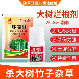环嗪酮强力除草烂根剂正品杀竹子烂根环嗪哃酮铜烂根除专用药大树