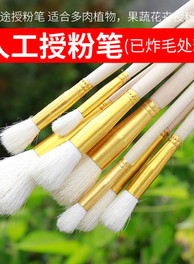 授粉笔人工授粉器草莓多肉猕猴桃果树授粉笔花粉点花授粉工具笔刷