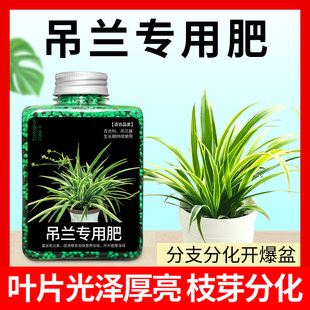 吊兰肥料多肉专用肥大叶绿萝颗粒缓释肥花肥家用盆栽通用型复合肥