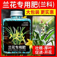 Шесть лет -магазины более 20 цветов цветовых орхидей Специальные удобрения способствуют цветущему магическому жиру медленному выпуску.