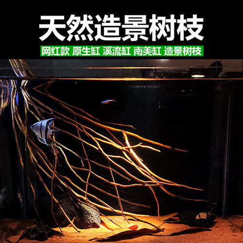 买一送1南美缸造景树枝鱼缸装饰