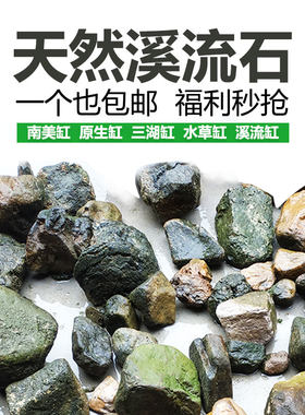 造景石原生缸溪流石自带绿藻