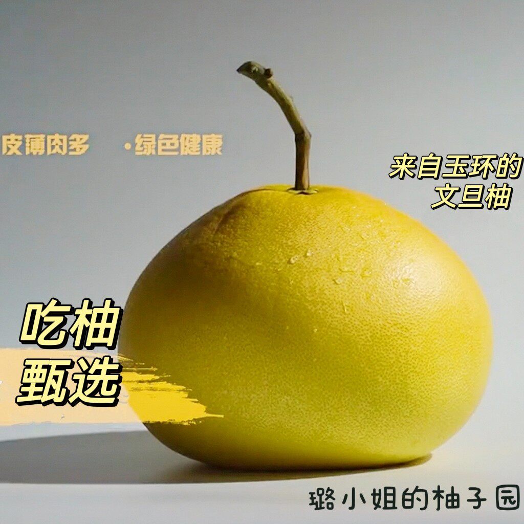 售完10月底再见垟根文旦