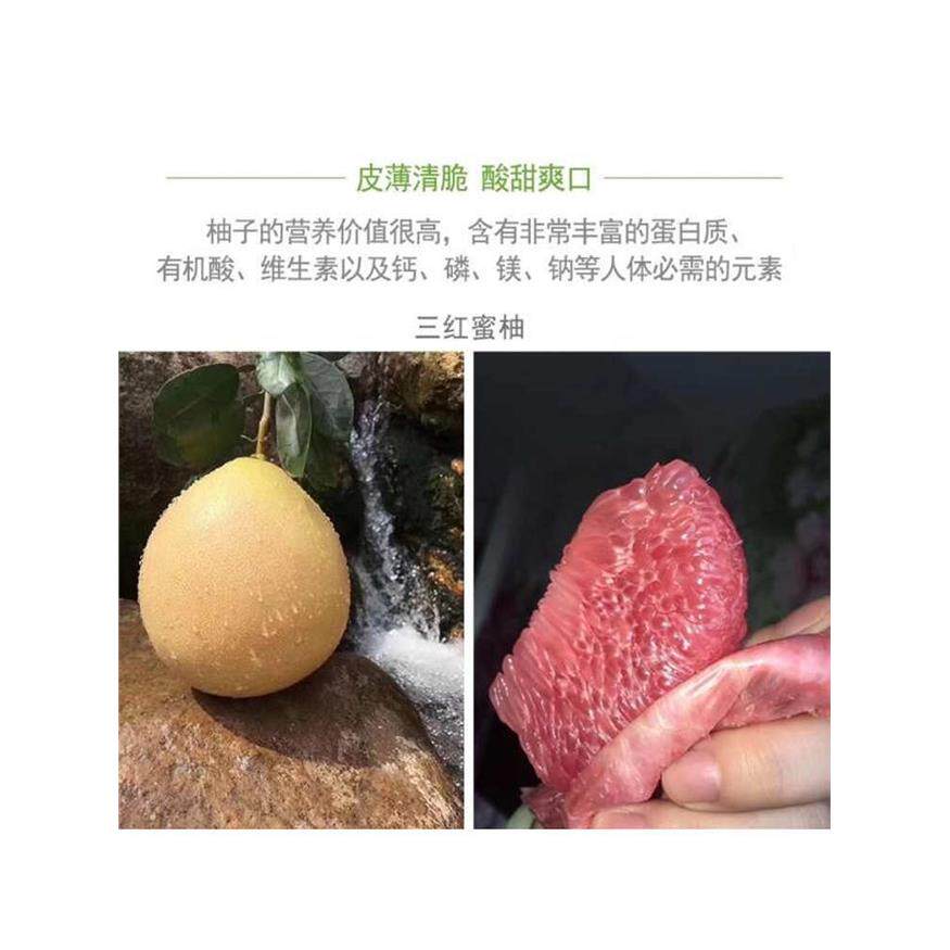 正宗梅州三红柚肉蜜柚现