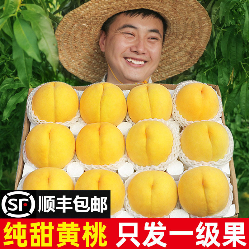 黄桃新鲜水果山东蒙阴黄