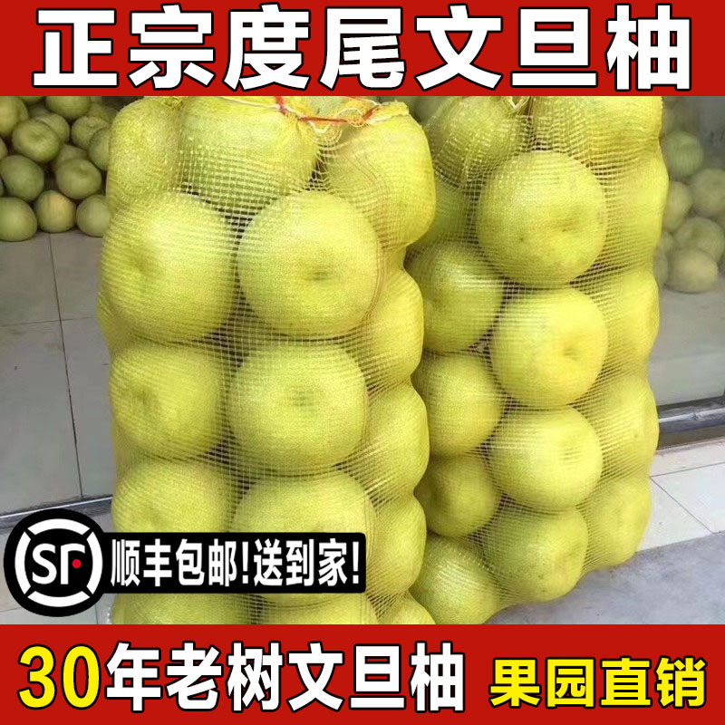 顺丰包邮正宗福建度尾文