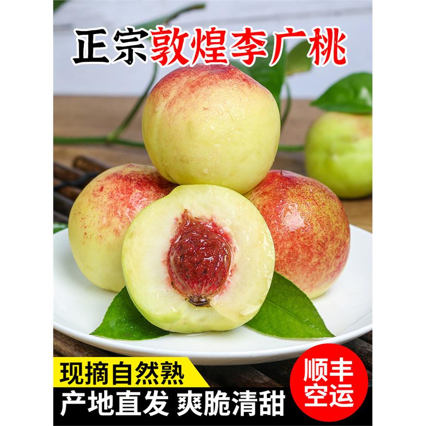 甘肃敦煌李广桃现摘当季