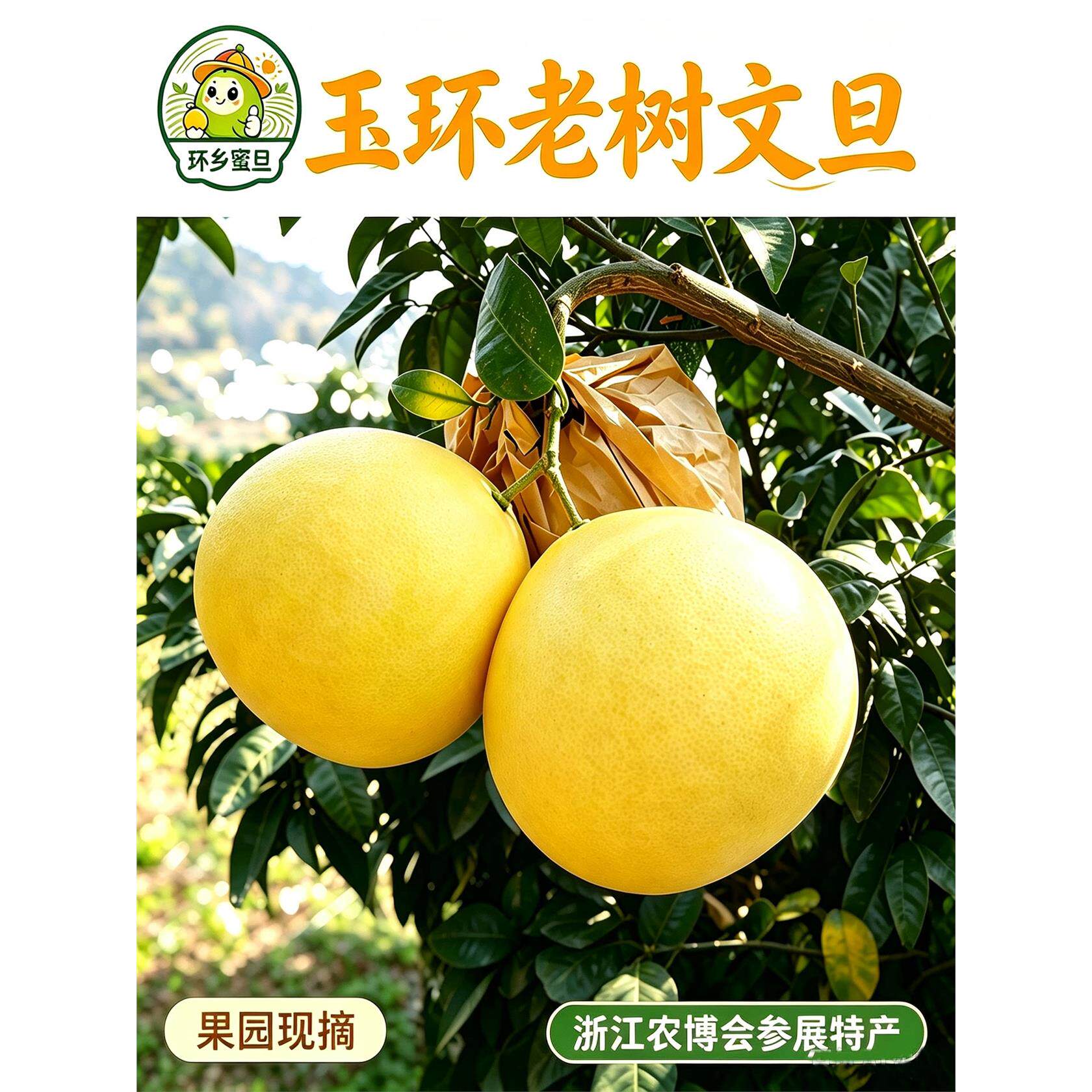 正宗玉环文旦柚子当季整