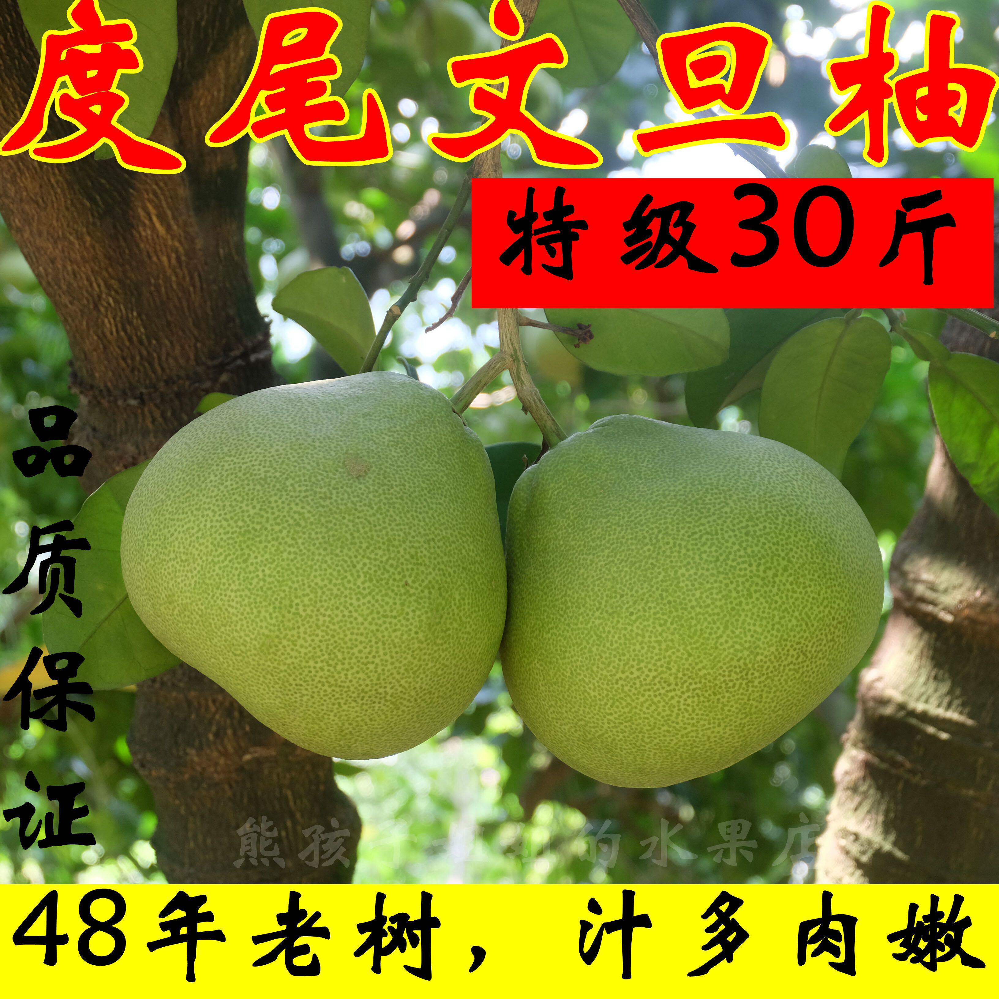包邮-48年老树正宗福建莆