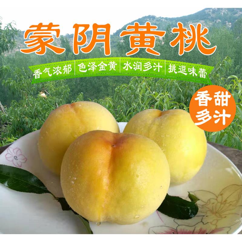 黄桃新鲜水果黄毛桃当季