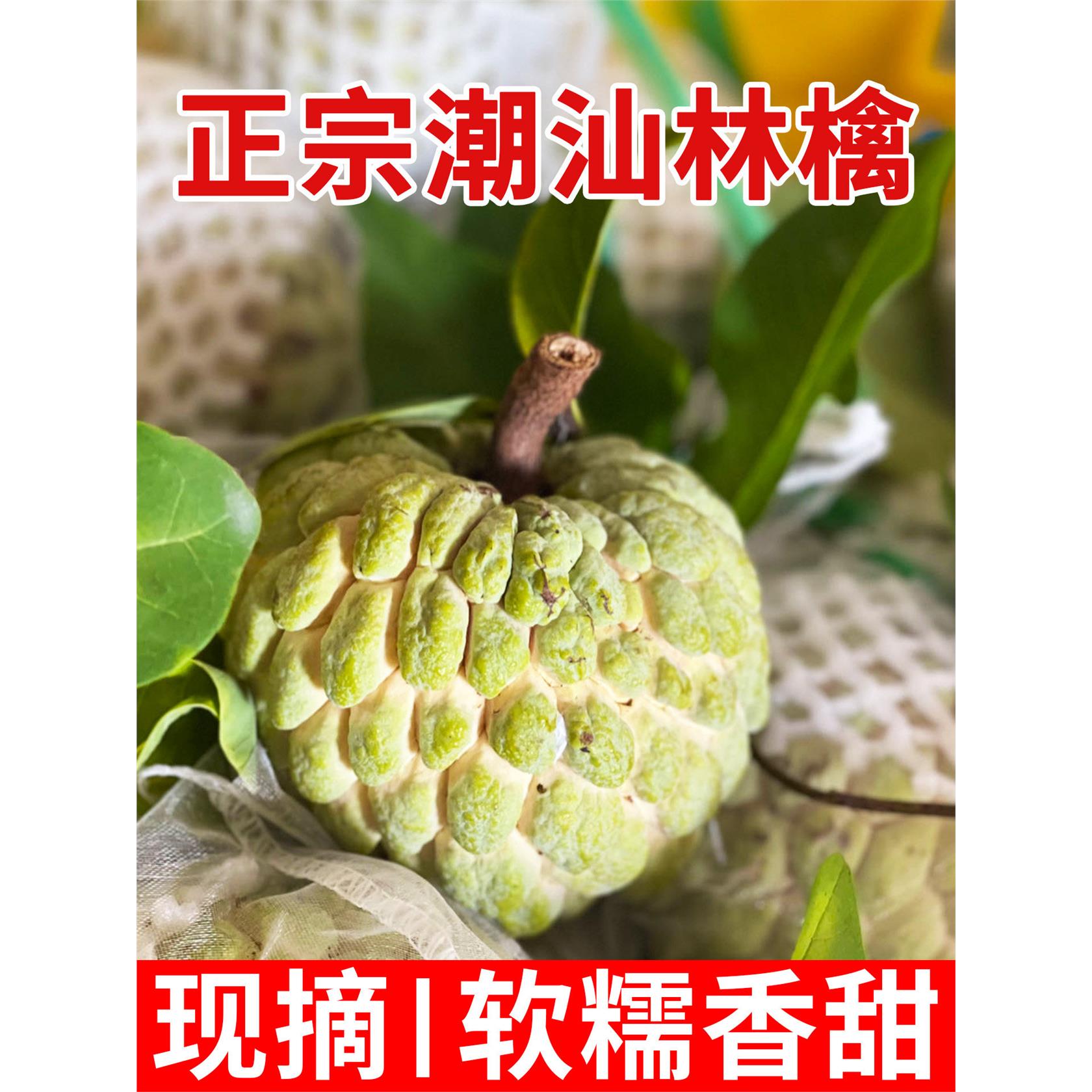 潮汕林檎大果番果荔枝正