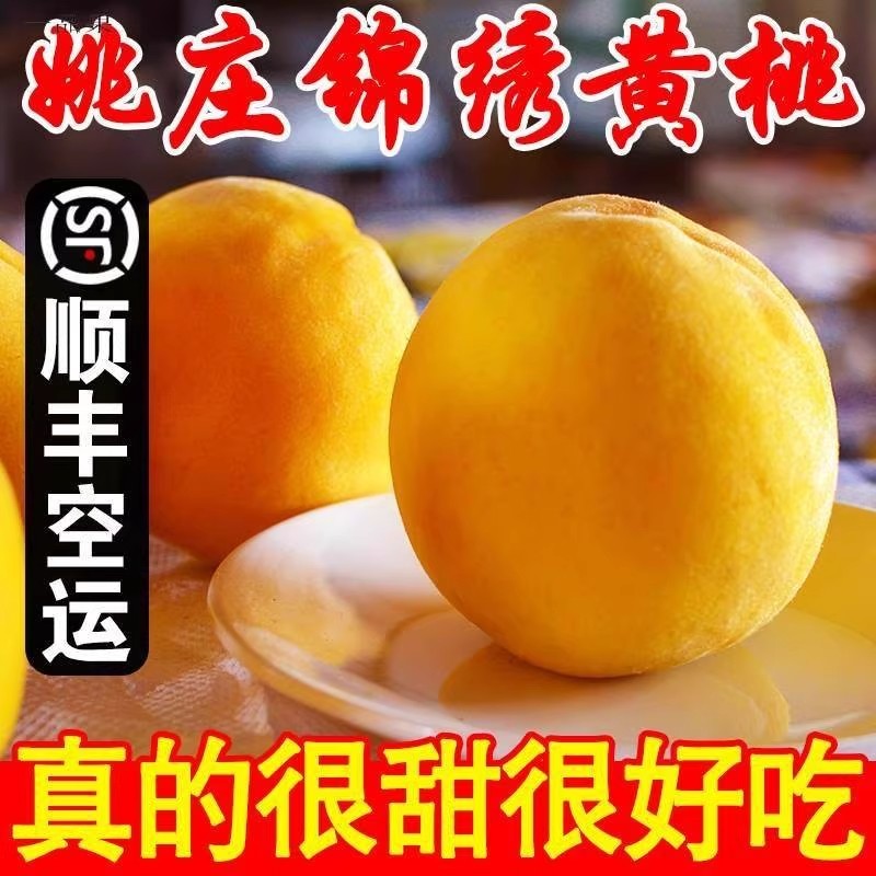 浙江嘉善姚庄锦绣黄桃新