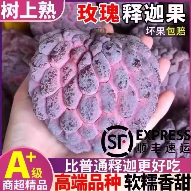 顺丰包邮红玫瑰释迦果新