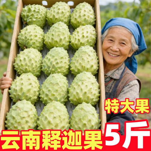 云南新鲜牛奶释迦果5斤大