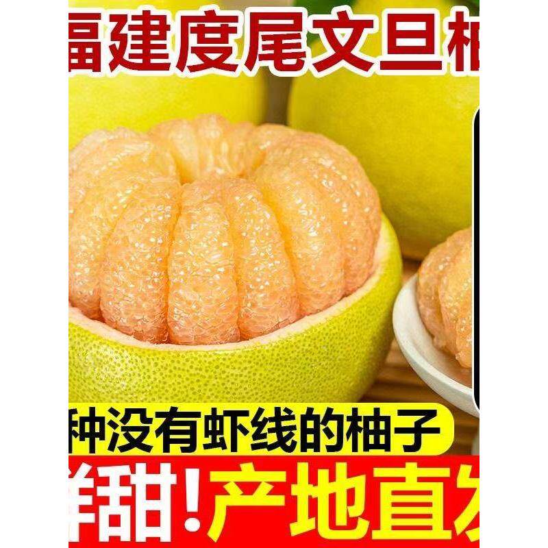 福建仙游度尾文旦柚红心