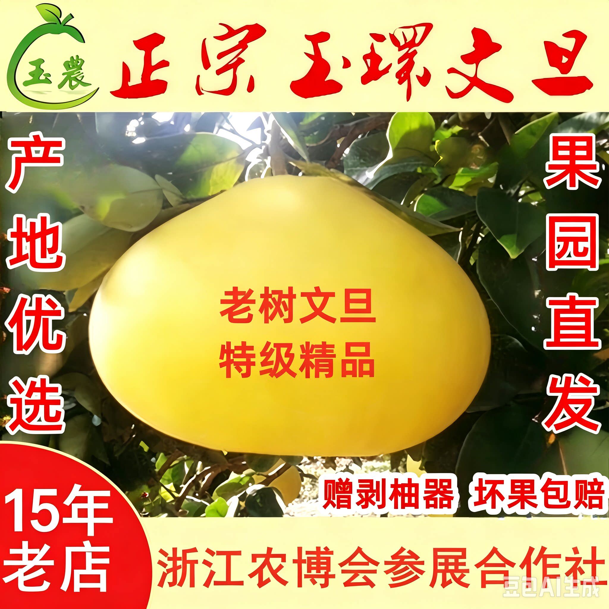 正宗玉环文旦柚子当季整