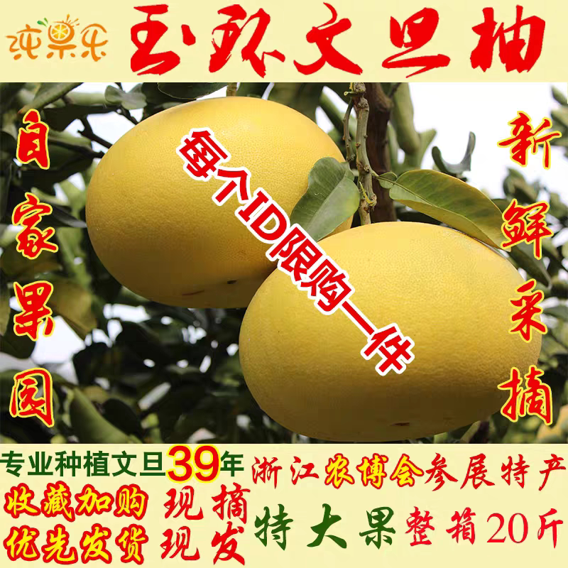 正宗玉环文旦柚子当季整