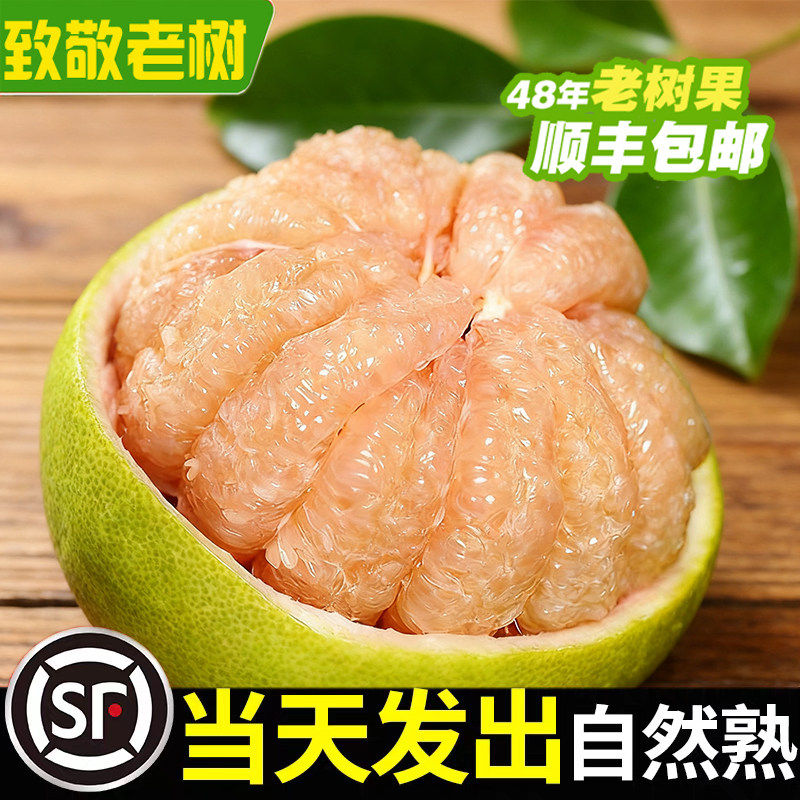 正宗福建仙游度尾文旦柚