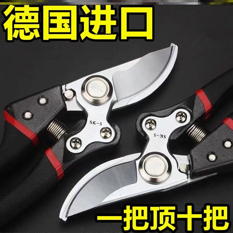 德国原装进口SK5强力园艺剪园林花卉修枝剪树剪子果树剪