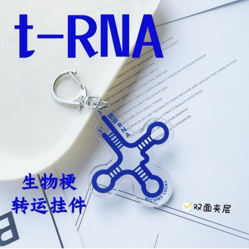 转运RNA挂件亚克力trna双面生物科研趣味搞怪钥匙扣礼物