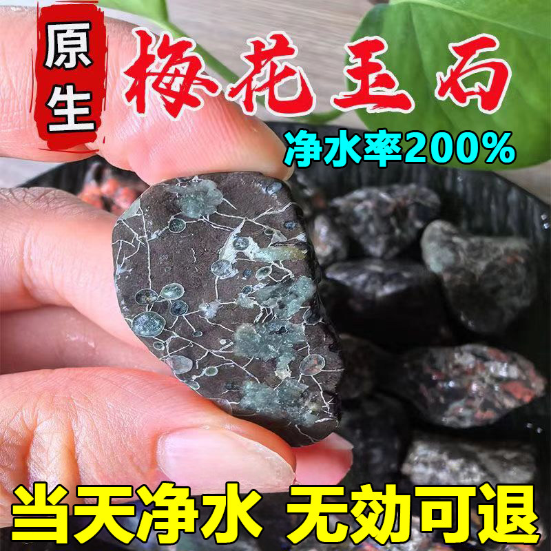 溪流石鱼缸造景安山岩天然梅花玉石片净化水质水草盆景底砂石头子