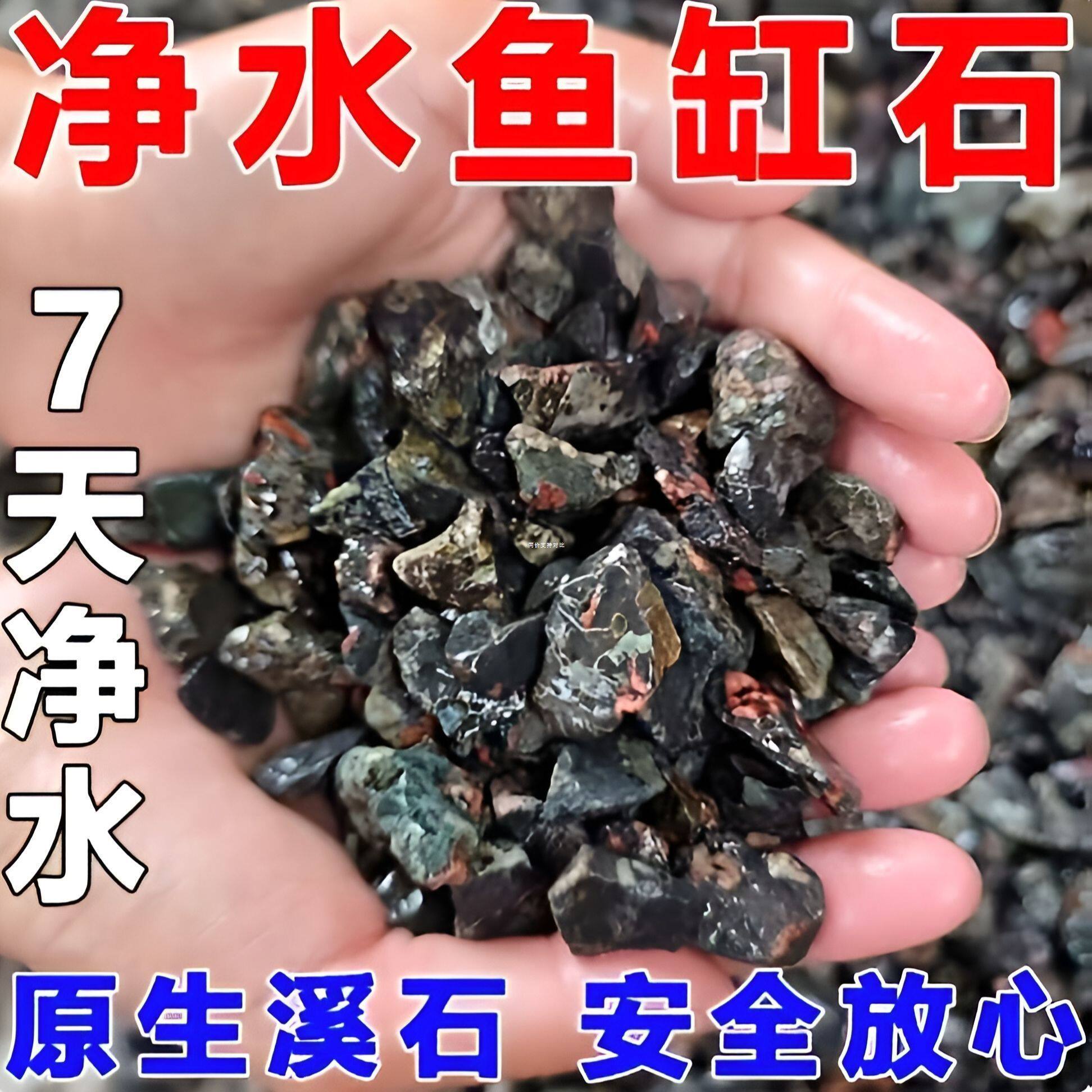 鱼缸硝化细菌天然梅花石去除腥味水质净化打造空气缸分解鱼粪石