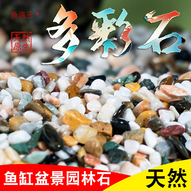 天然雨花石鱼缸造景底砂装饰多彩砂石多肉铺面原生溪流石五彩沙石