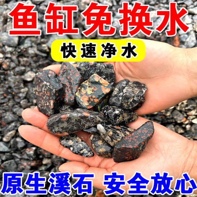 鱼缸净水梅花石去绿水去黄水