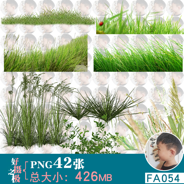 草丛杂草小草植物草原草地免扣png免抠图片外景合成ps素材