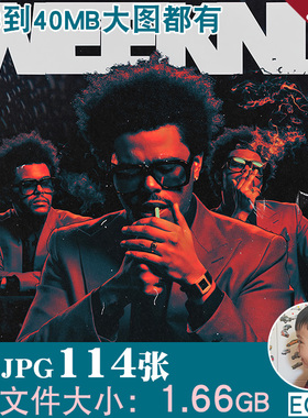 威肯盆栽哥The Weeknd说唱嘻哈歌手封面插画海报高清JPG图片素材