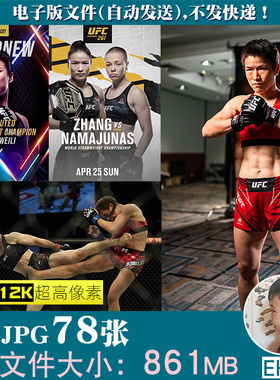 张伟丽ufc明星格斗搏击超高清4K12K手机电脑图片壁纸海报JPG素材