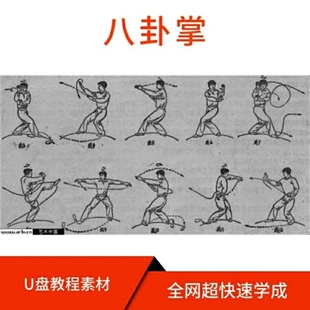 八卦掌U盘教程视频零基础学习入门课优盘资料