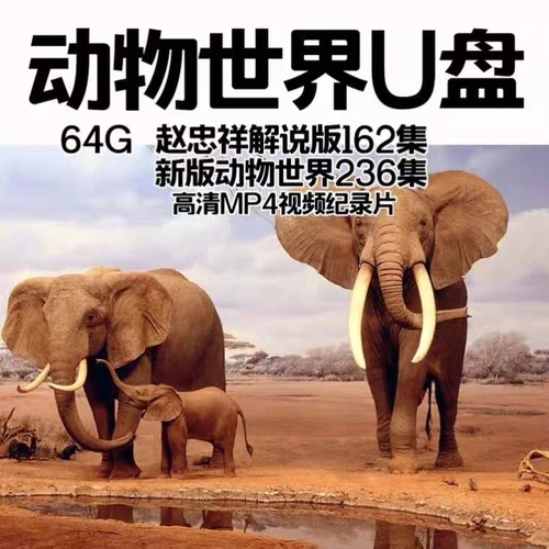 动物世界U盘视频儿童百科知识科普纪录片汽车载MP4高清赵忠祥解说