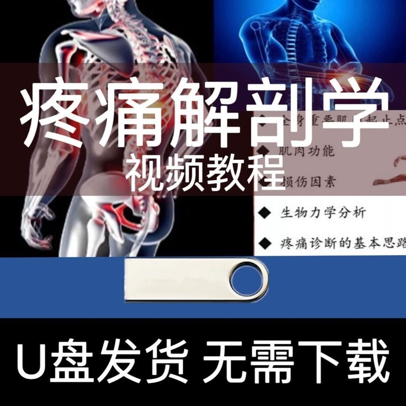 疼痛解剖学视频U盘教程疼痛理论肌肉功能解刨疼痛诊断教学优盘