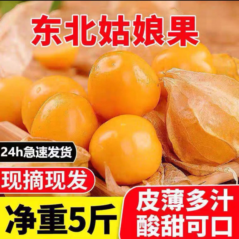 【农家自种】姑娘果香甜即拍即发